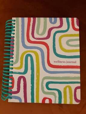 Guided Wellness Journal, 240 pages